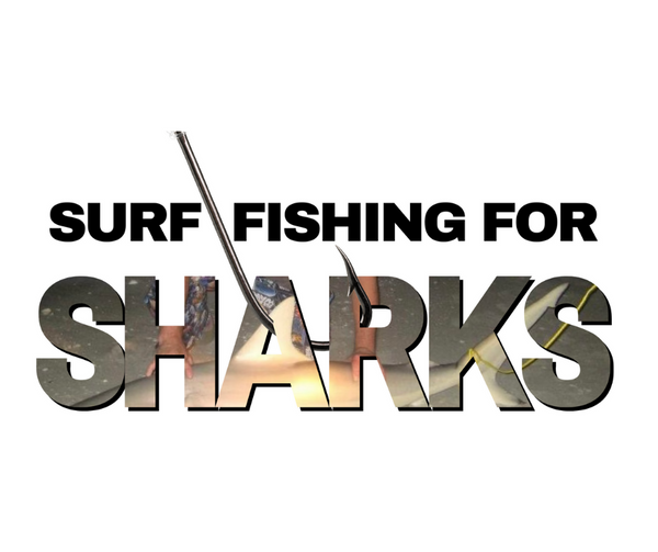 Tips and Tricks-Tips and Tricks on Surf Fishing For Sharks-by Angler's World