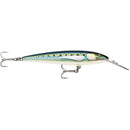 Rapala CountDown Magnum Elite 145 - 5-3/4" - Armored Sardine [CDMAGE145AMSRD]