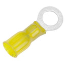Pacer 12-10 AWG Heat Shrink Ring Terminal - 5/16" Stud Size - 100 Pack [TE10-56R-100]-Angler's World