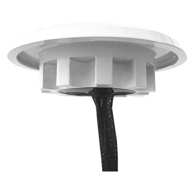 Shadow-Caster Downlight - White Housing - Cool White [SCM-DLXS-GW-WH]-Angler's World
