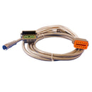 Maretron J2K100 Adapter Micro Female - Deutsche 12 Pin 2T [MCF-2M-D12CAT]-Angler's World
