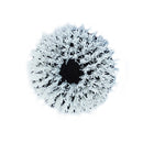 Shurhold 6-1/2" Stiff Brush f/Dual Action Polisher [3205]-Angler's World