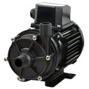 Jabsco Mag Drive Centrifugal Pump - 14GPM - 110V AC [436979]-Angler's World