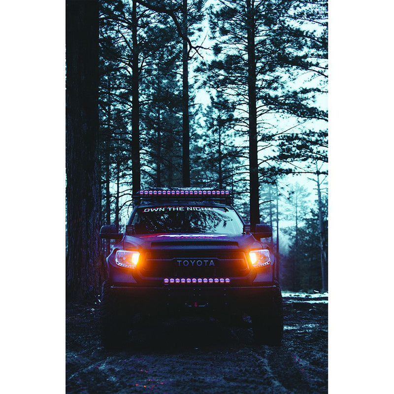 RIGID Industries Adapt 10" Light Bar - Black [210413]-Angler's World