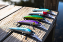 Jerkbait Deep Water Trolling Lure - Deep Diver-Angler's World